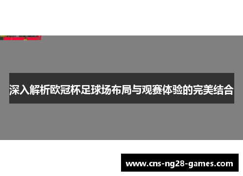 深入解析欧冠杯足球场布局与观赛体验的完美结合