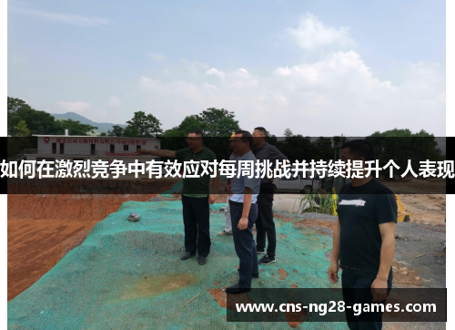 如何在激烈竞争中有效应对每周挑战并持续提升个人表现