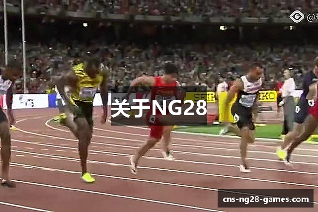 关于NG28